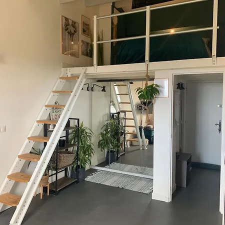 Belle Vue Mer Et Iles Appartement